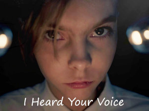 I Heard Your Voice