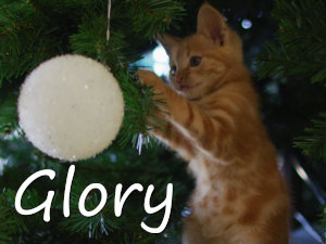 Glory